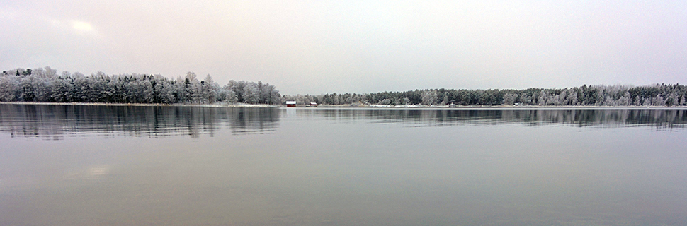 Bilden visar en vy över en sjö